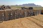 Mil Gabion Lưới Hesco Bao Cát Hàng Rào Bastion Barrier Điền Tường Bảo Vệ Quân Đội nhà cung cấp