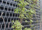 X Tend cáp thép không gỉ lưới Wire Mesh Plant Trellis Đối với cây leo nhà cung cấp