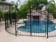 Bể bơi chu vi dây an ninh hàng rào cong hàng đầu cho trẻ em nhà cung cấp